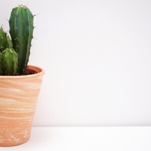 Ring-Vase „Kreis“ – Natur